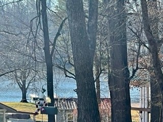 0 Bledsoe Dr, Castalian Springs, TN 37031