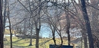 0 Bledsoe Dr, Castalian Springs, TN 37031