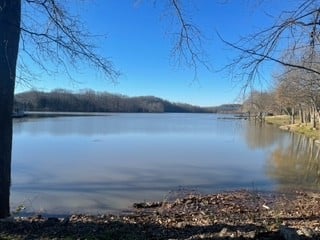 0 Bledsoe Dr, Castalian Springs, TN 37031
