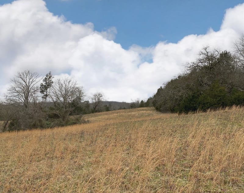 0 Fuston Hollow Rd, Auburntown, TN 37016