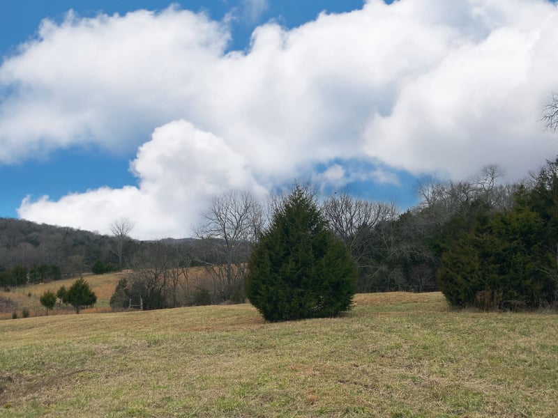 0 Fuston Hollow Rd, Auburntown, TN 37016