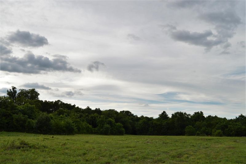 771 Ridley Earp Rd, Christiana, TN 37037