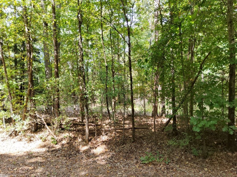 0 Little Bethel Rd, Cottontown, TN 37048