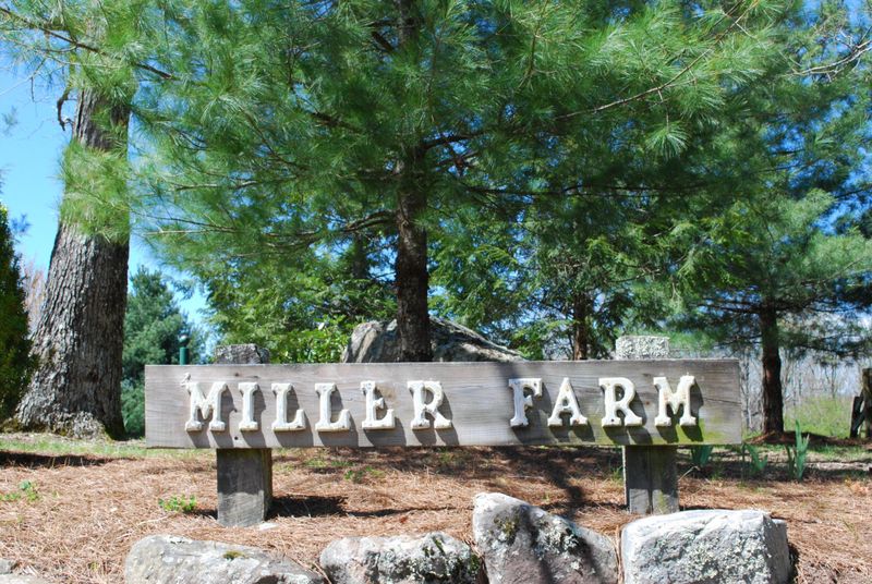 30 Cascades Dr, Rising Fawn, GA 30738