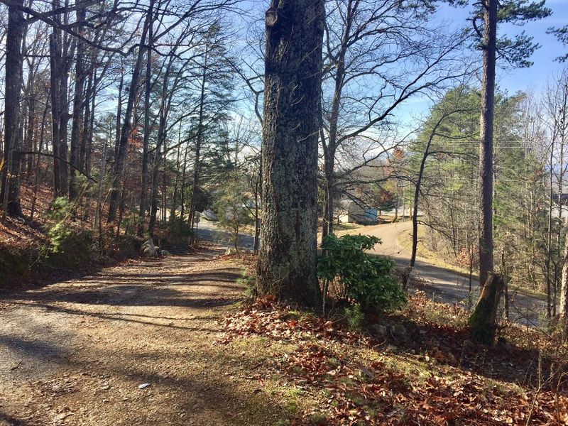 451 Dyer Bridge Rd, Ringgold, GA 30736