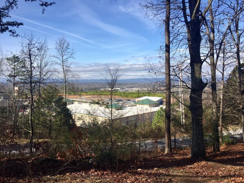 451 Dyer Bridge Rd, Ringgold, GA 30736