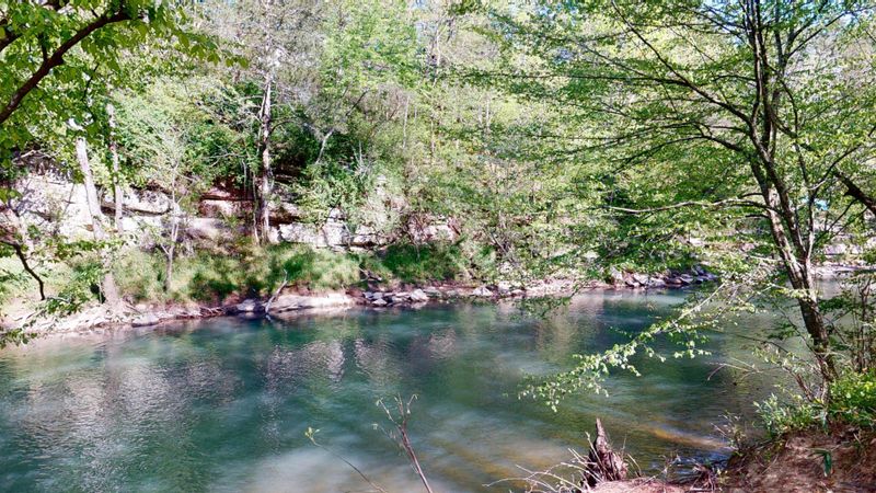 170 Creekview Dr, Ringgold, GA 30736