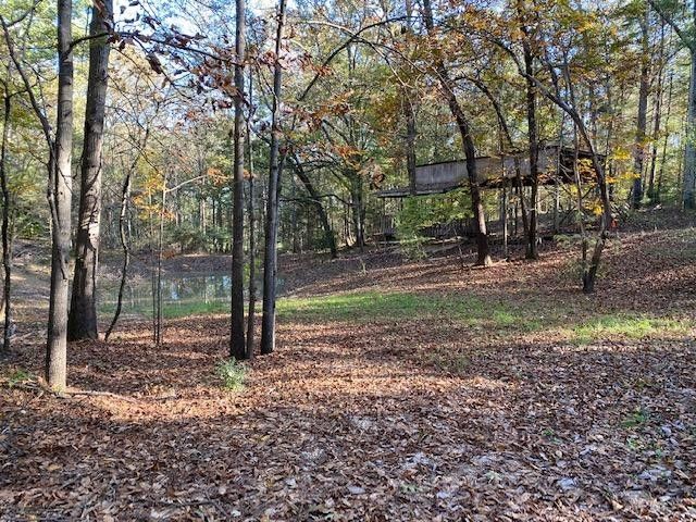 0 E Teems Rd Whaley Hills Dr, Ringgold, GA 30736