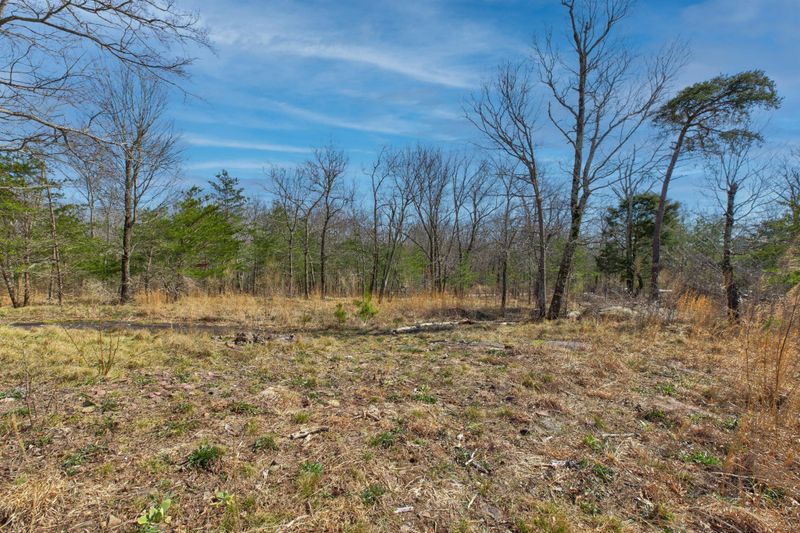 0 W Bluff Rd Lot 9, Cloudland, GA 30731