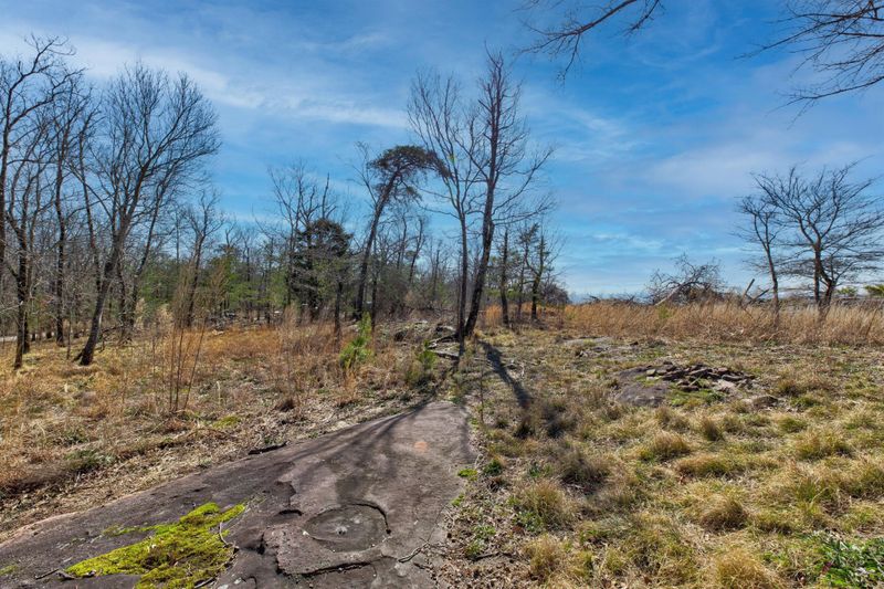 0 W Bluff Rd Lot 9, Cloudland, GA 30731