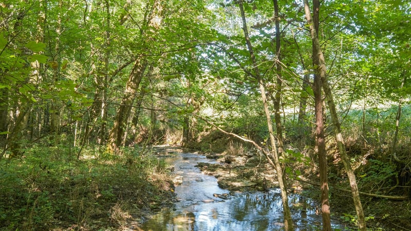 0 Split Log Rd, Brentwood, TN 37027