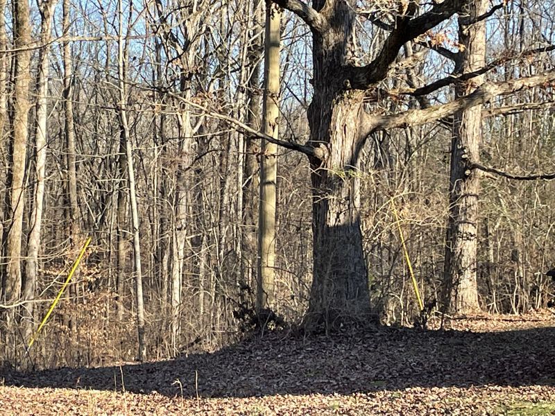 5963 Davis Hollow Rd E, Franklin, TN 37064