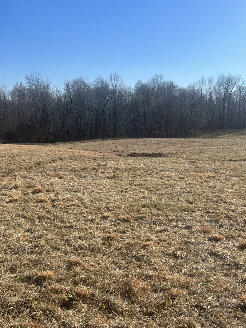 0 Highway 49 W, Vanleer, TN 37181