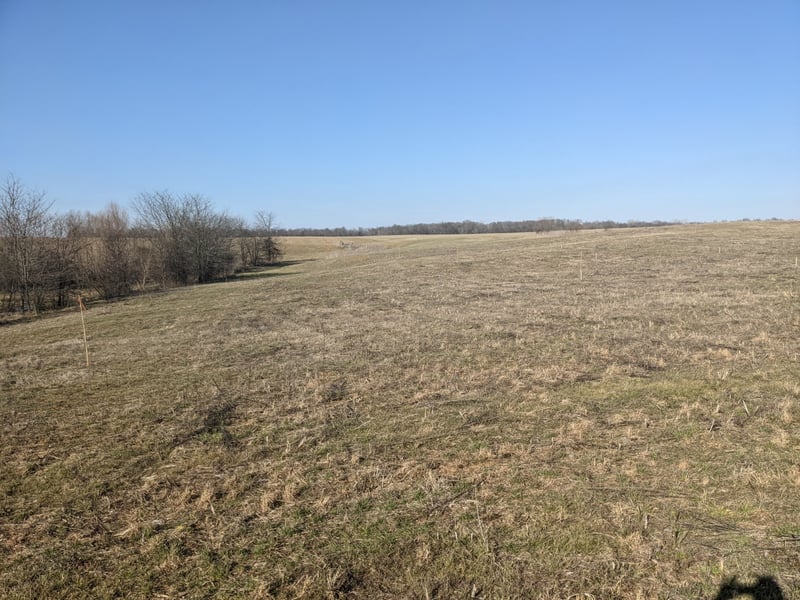 0 Hwy 49 E, Orlinda, TN 37141