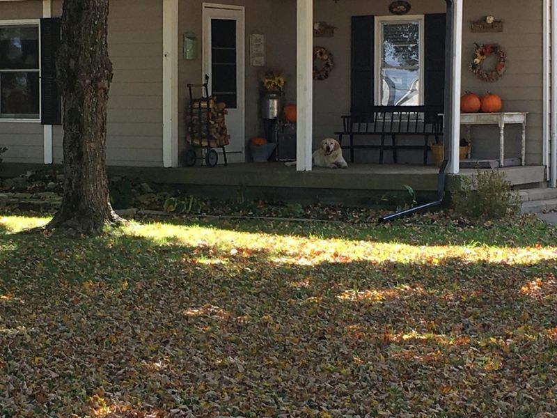 503 Stones River Ln, Murfreesboro, TN 37128