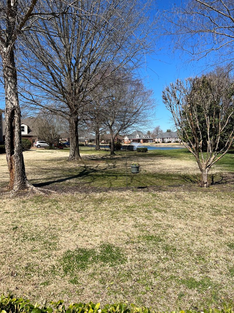 411 Great Sun Ct, Murfreesboro, TN 37127
