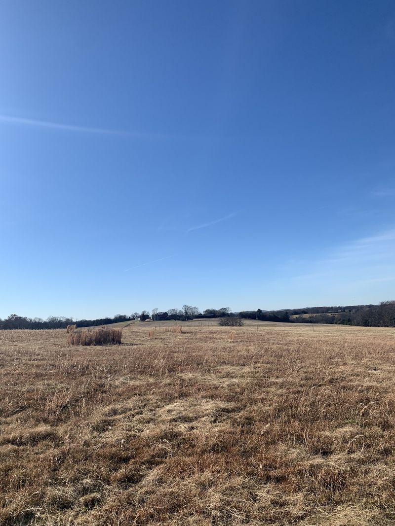 1147 Littleton Ranch Rd, Castalian Springs, TN 37031