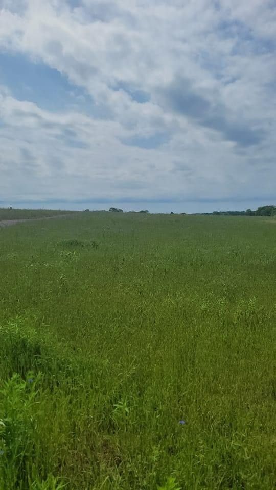 1147 Littleton Ranch Rd, Castalian Springs, TN 37031