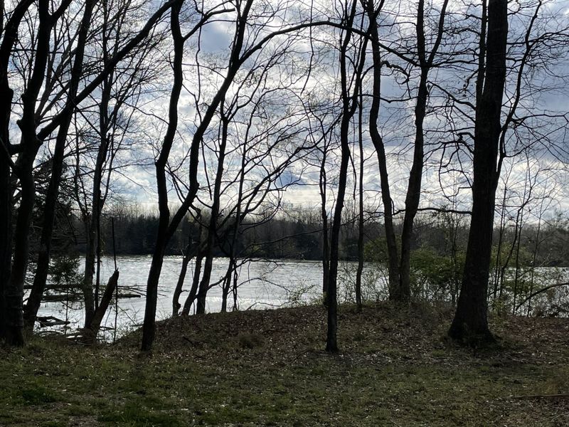 1107A E Robertson Rd, Castalian Springs, TN 37031