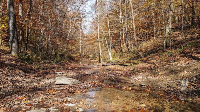 0 Pinewood, Franklin, TN 37064