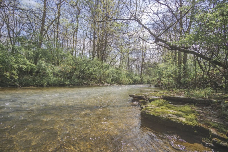 3953 Dry Fork Rd, Whites Creek, TN 37189