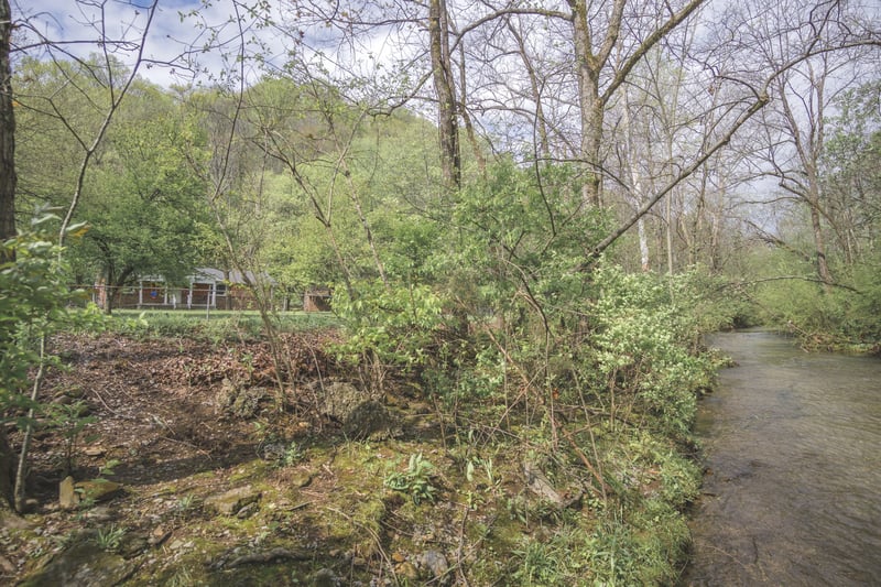 3953 Dry Fork Rd, Whites Creek, TN 37189