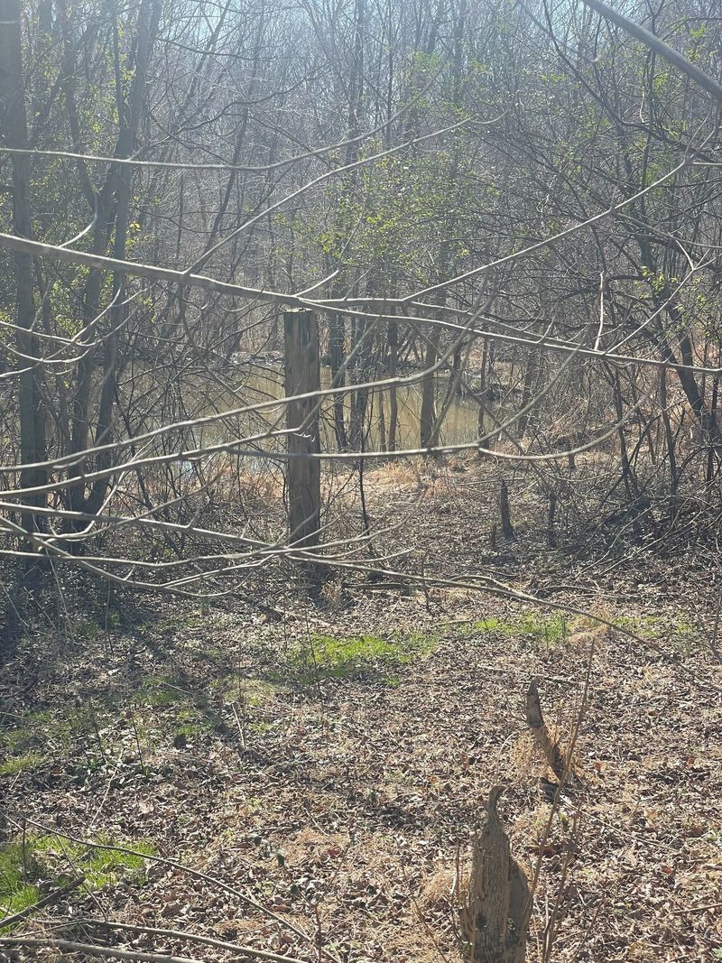 5447 Campbell Rd, Cross Plains, TN 37049