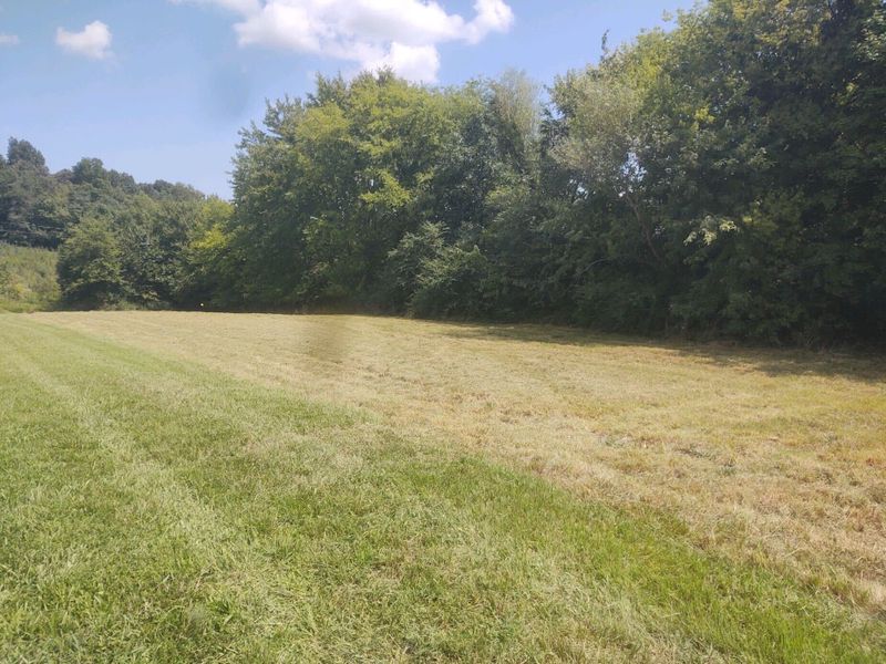 5447 Campbell Rd, Cross Plains, TN 37049