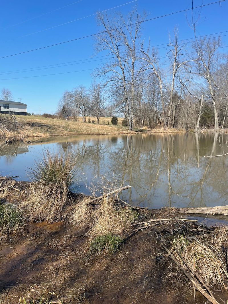 5447 Campbell Rd, Cross Plains, TN 37049