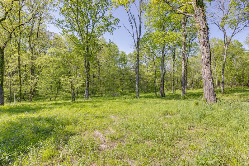 8569 Taliaferro Rd, Eagleville, TN 37060