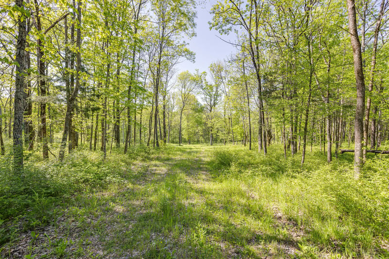 8569 Taliaferro Rd, Eagleville, TN 37060