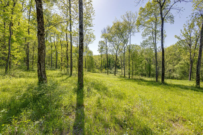 8569 Taliaferro Rd, Eagleville, TN 37060