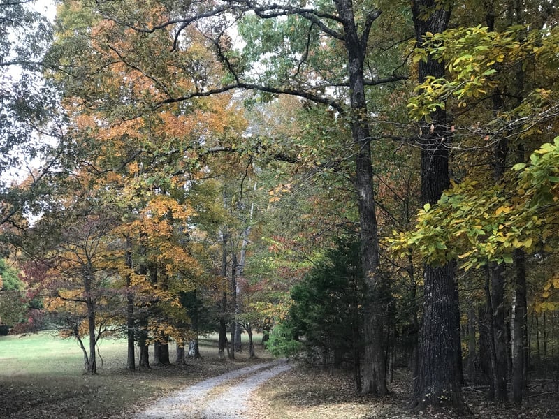 698 Log Wall Rd, Dickson, TN 37055