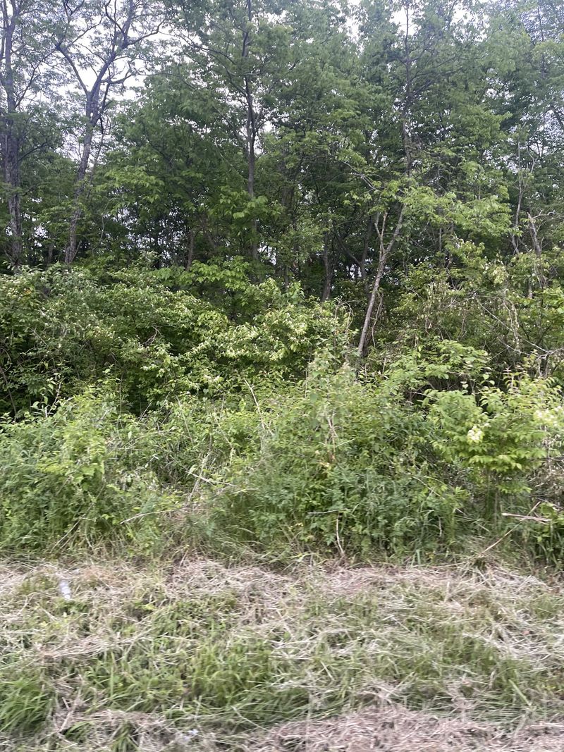 5043 Mount View Rd, Antioch, TN 37013