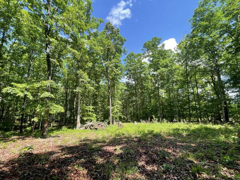 0 Lynn Trl, Rock Spring, GA 30739