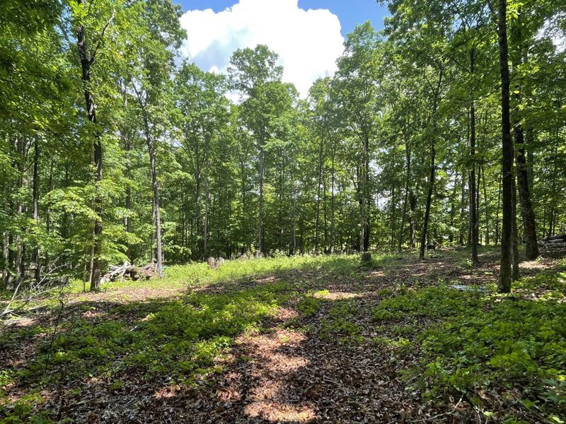 0 Lynn Trl, Rock Spring, GA 30739