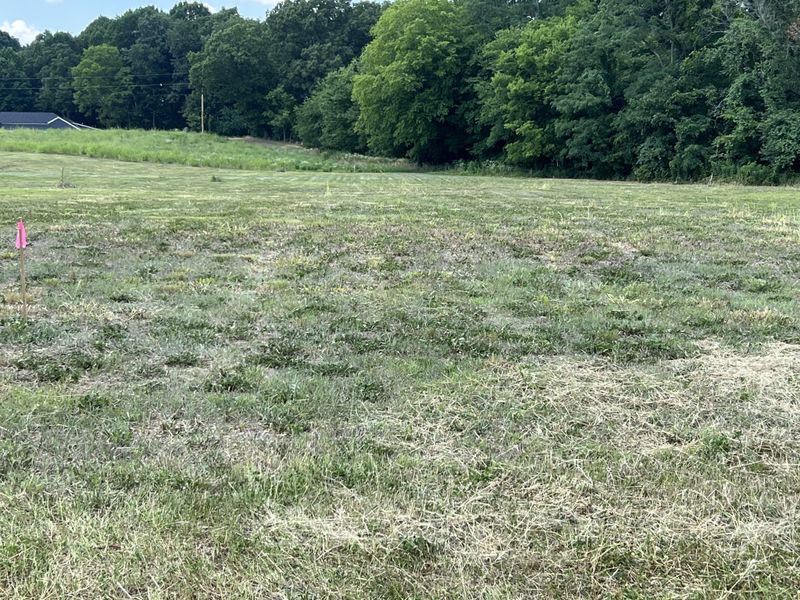 0 South Old Highway 31w, Cross Plains, TN 37049