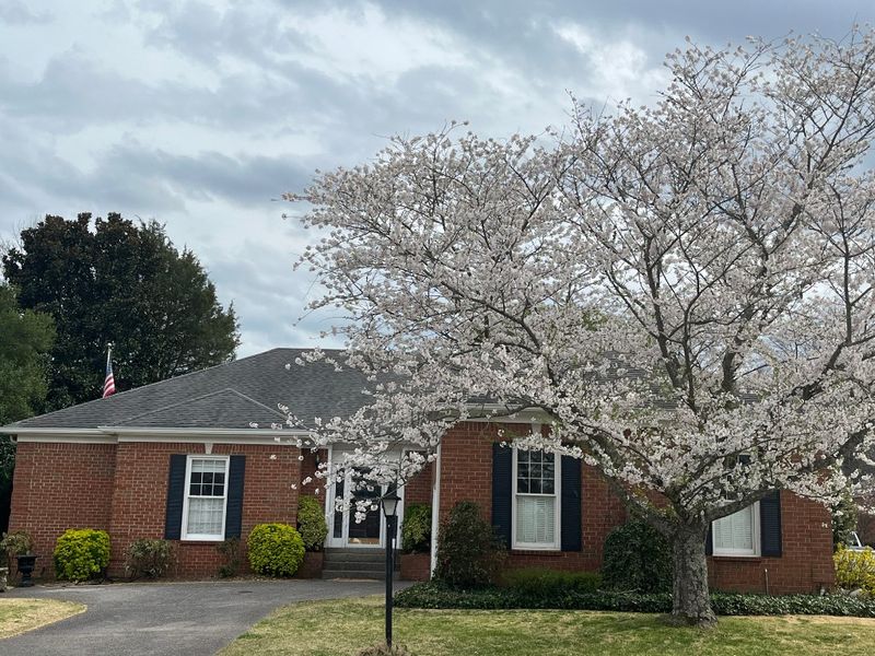 605 Sherbourne Grn, Franklin, TN 37069
