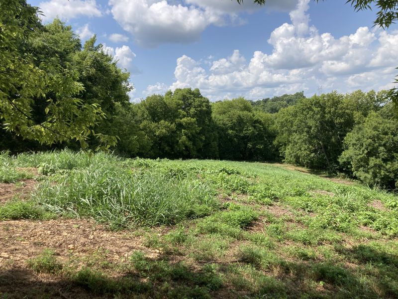 2 Joy Rd, Mount Pleasant, TN 38474