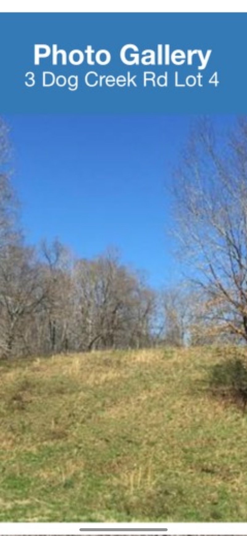 3 Dog Creek Rd, Primm Springs, TN 38476