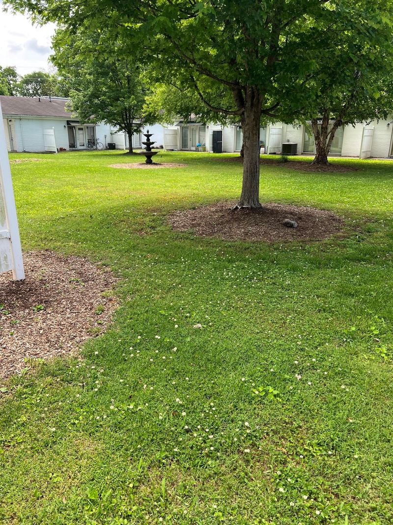 802 E Main St #5, Murfreesboro, TN 37130