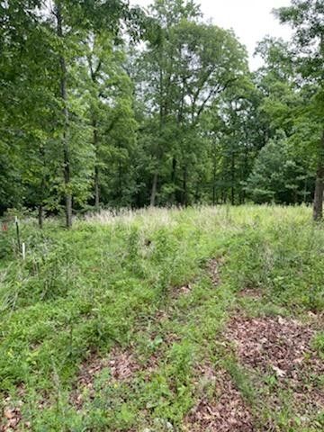 1020 Petty Rd, White Bluff, TN 37187