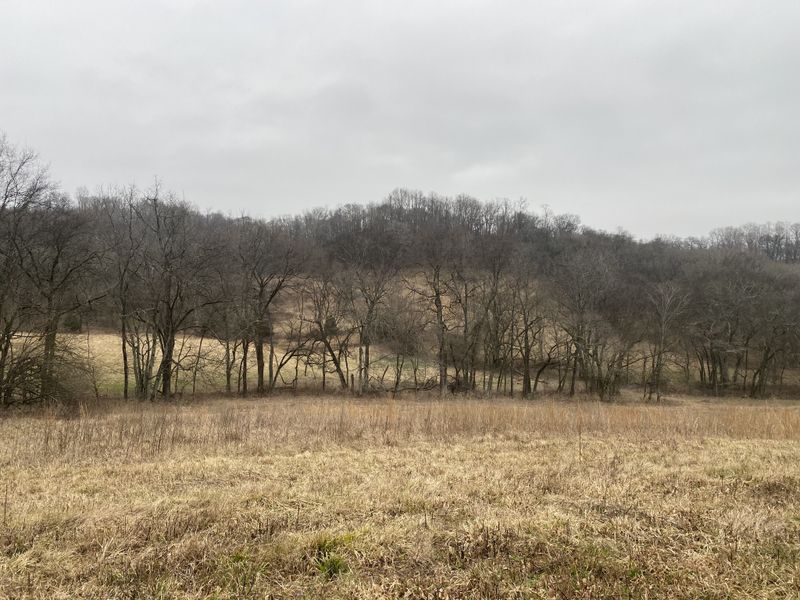 0 Mahon Rd, Columbia, TN 38401
