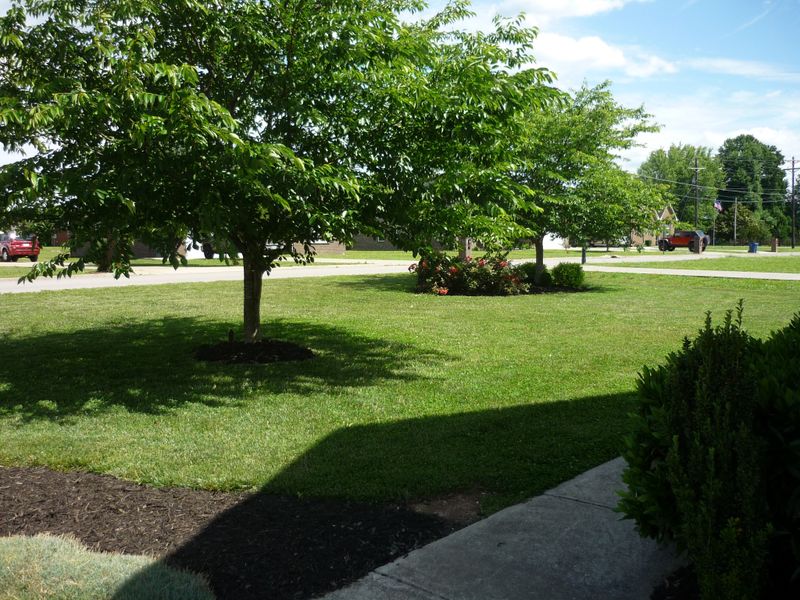 1017 Stratus Dr, Murfreesboro, TN 37127