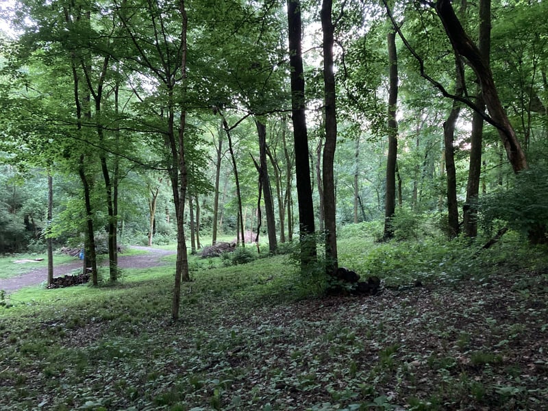 0 Trail Hollow Ln, Whites Creek, TN 37189