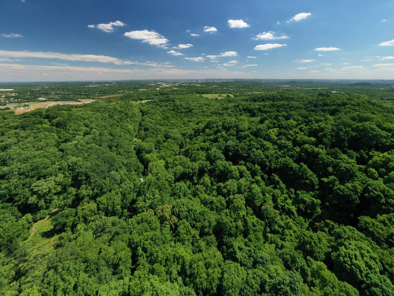 0 Trail Hollow Ln, Whites Creek, TN 37189