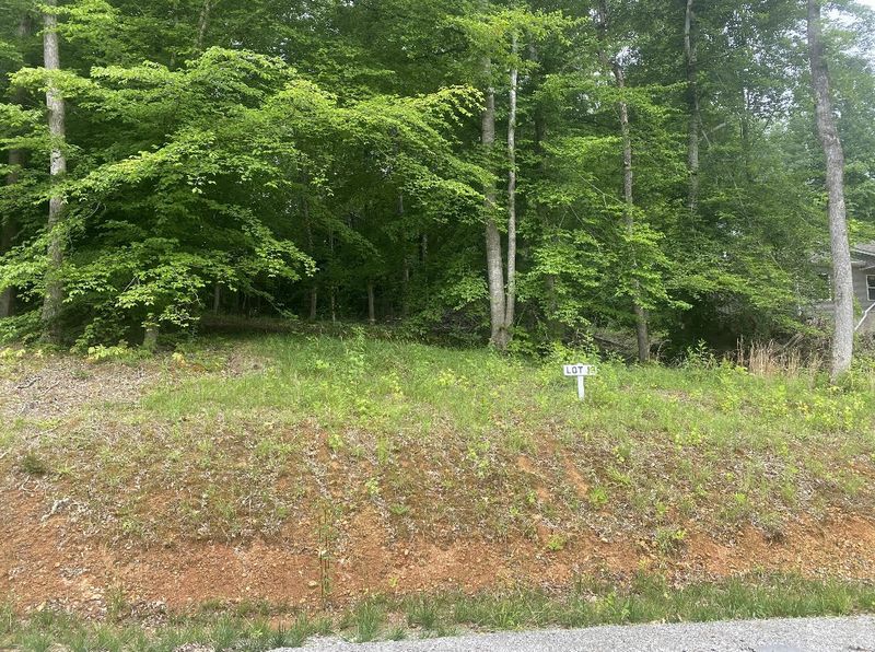 0 Lewis Ln, Charlotte, TN 37036