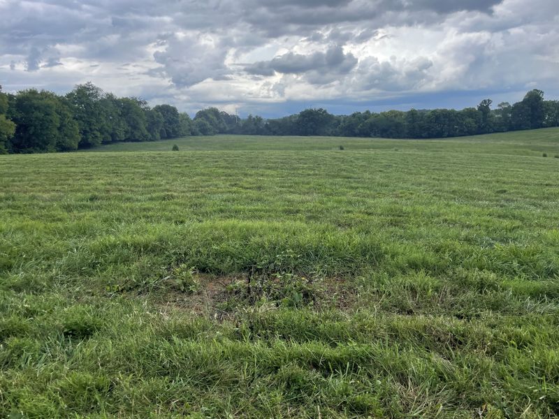 1 Hicks Edgen Rd, Pleasant View, TN 37146