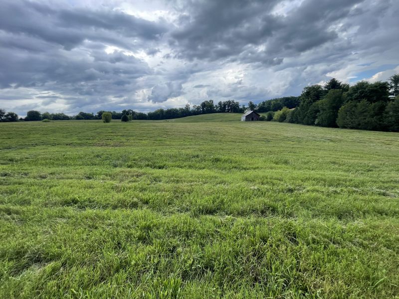 3 Hicks Edgen Rd, Pleasant View, TN 37146