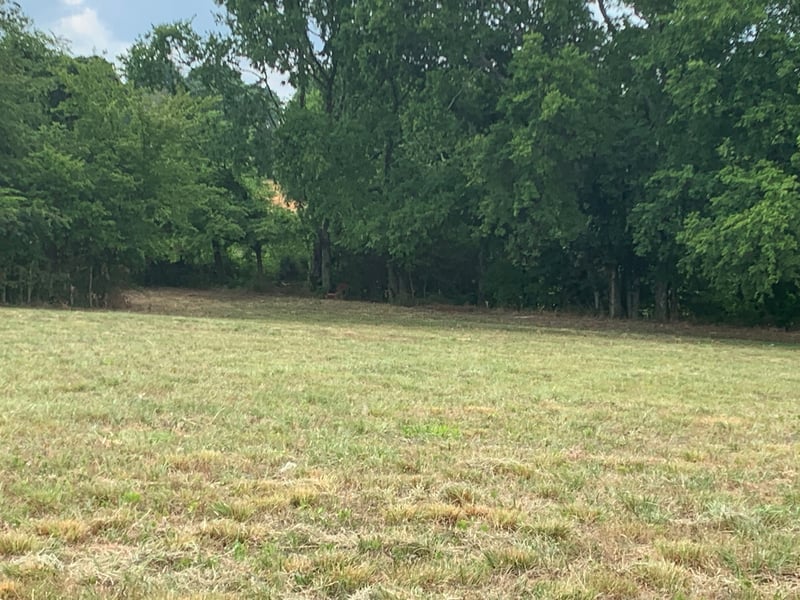 1370 Littleton Ranch Rd, Castalian Springs, TN 37031